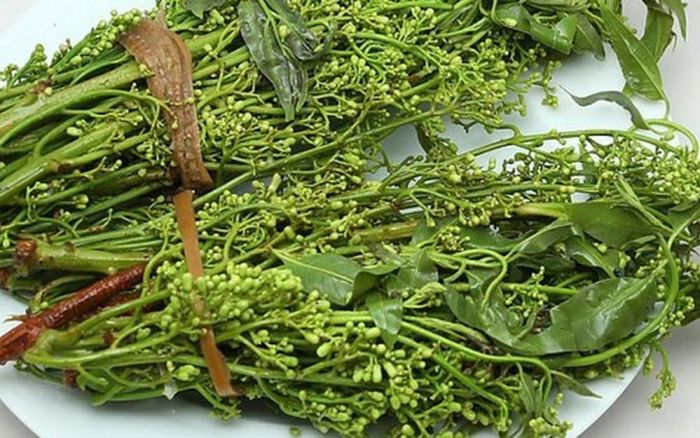 Món đặc sản miền Tây này được làm từ những lá sầu đâu non có vị hơi đắng rất đặc biệt. Hằng năm, vào khoảng tháng 11 đến tháng 3 Âm lịch là thời điểm cây sầu đâu bắt đầu thay lá, ra hoa.