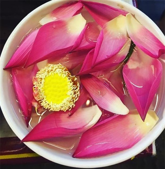 (Ảnh: Instagram's tram.yellow)
