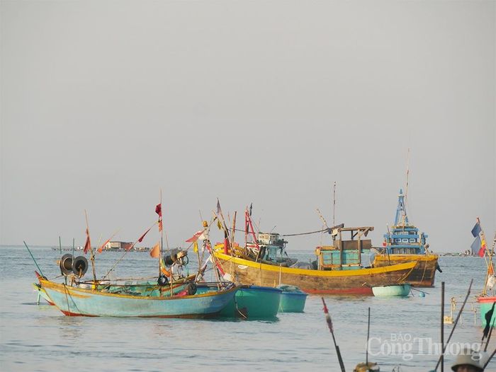 Những con thuyền neo đậu tại bờ biển Mũi Né