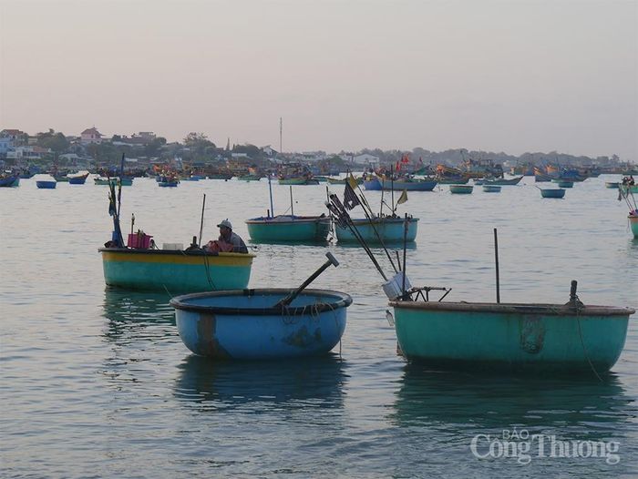 Những chiếc thúng được sơn hai màu xanh lục và xanh dương, tạo nên một cảnh sắc vô cùng nên thơ