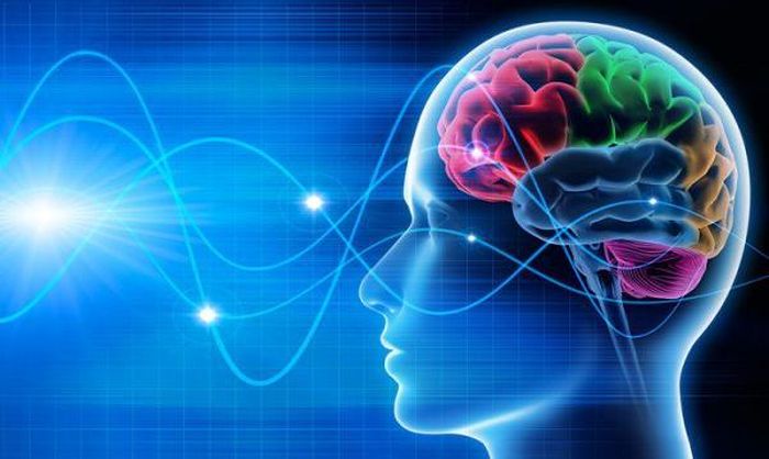 "Trải nghiệm Cổng vào" là một hệ thống được thiết kế để nâng cao sức mạnh, sự tập trung, gắn kết với biên độ cùng tần số của đầu ra sóng não giữa bán cầu trái và phải để thay đổi ý thức.