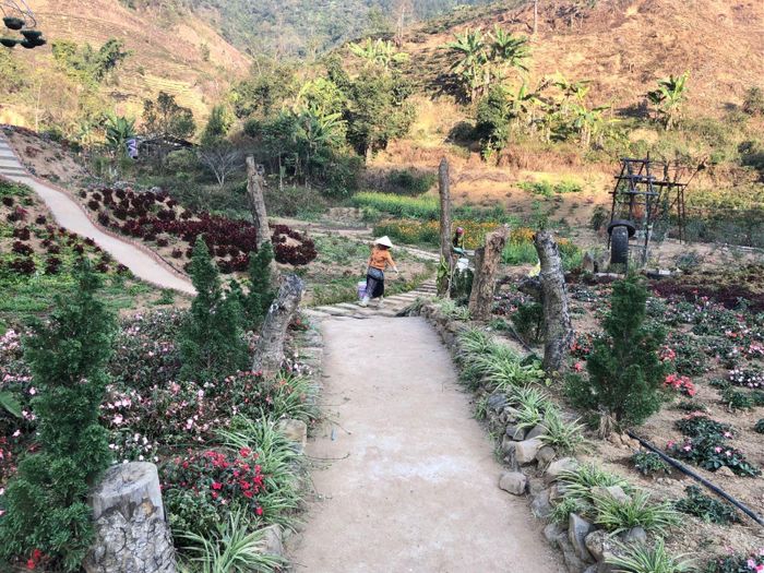 Quang cảnh bản Thẳm.