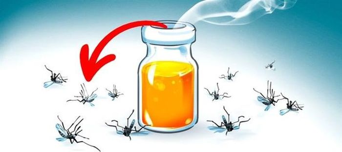 Mẹo đuổi muỗi bằng hỗn hợp dầu ăn, dầu gội và giấm.