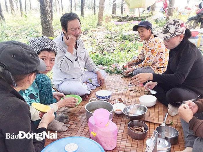 Bữa cơm trưa ngoài lán của những người làm nghề nhặt phế liệu. Ảnh: Lê An