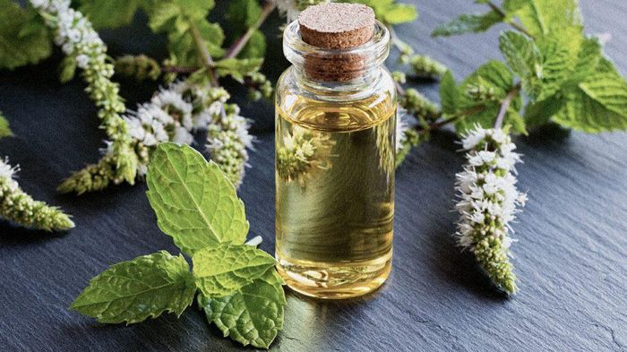 Pha loãng tinh dầu giúp nó dễ được hấp thụ vào da đầu hơn. Ảnh: Medical News Today.