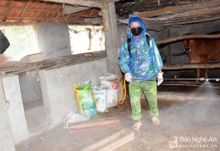 Người chăn nuôi trên địa bàn xã Thanh An phun hóa chất khử trùng trong khu vực chuồng trại. Ảnh: Xuân Hoàng