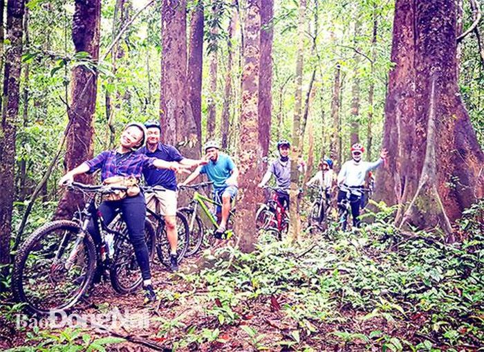Cơ hội phát triển du lịch sinh thái dựa vào rừng của Đồng Nai là rất tiềm năng. Ảnh: Văn Gia
