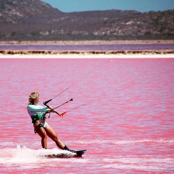 Hồ hồng Hutt Lagoon Australia. 