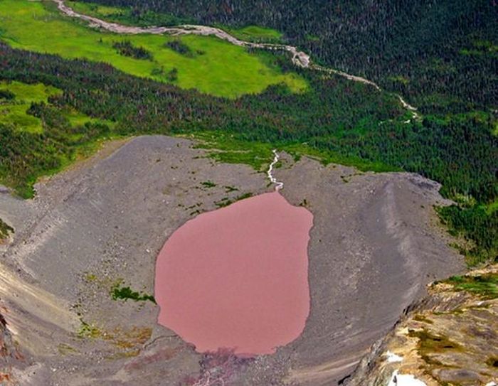 Hồ hồng Dusty Rose. 