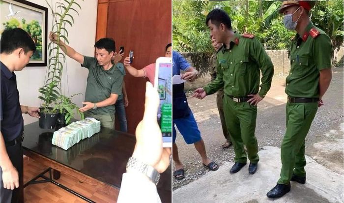 Cơ quan chức năng huyện Quỳnh Lưu (Nghệ An) bắt nhóm đối tượng lừa đảo bán lan phi điệp đột biến đến từ Hòa Bình.