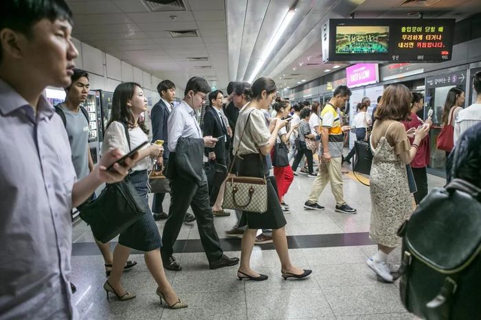  Nhiều tai nạn giao thông xảy ra do sự vội vàng, thiếu cẩn trọng của tài xế. Ảnh: New York Times. 