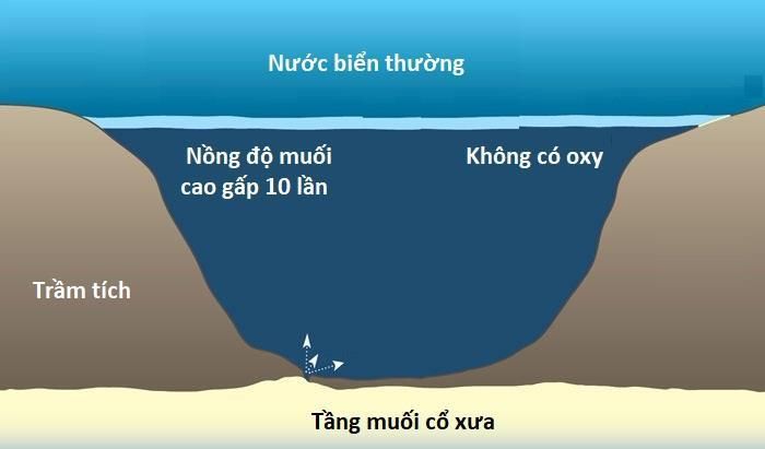 Ngày nay, vịnh Mexico là một lòng chảo sâu, nhưng vào thời Jura (cách đây 150-200 triệu năm) nơi đây nông và tách biệt với phần còn lại của đại dương. Kết quả, nồng độ muối ở đây ngày càng tăng và khi bốc hơi hết, một lớp muối dày tới 8 kilomet bao phủ đáy biển. Lớp muối này vẫn còn tồn tại nhưng đã bị vỡ ra do các hoạt động địa chất. Khi hai mảng kiến tạo dịch chuyển, vùng vịnh này lại hạ thấp xuống và nước biển tràn vào. 