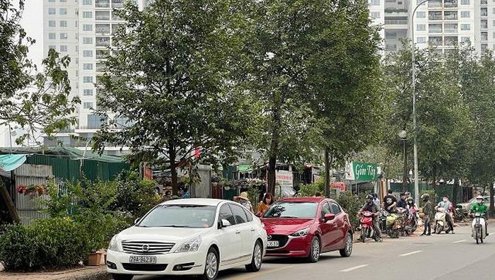 Khu đất tại số 58 - 60 Tố Hữu bị chiếm dụng thành gian hàng bán cây cảnh, gây mất trật tự đô thị. Ảnh: Ngọc Hải