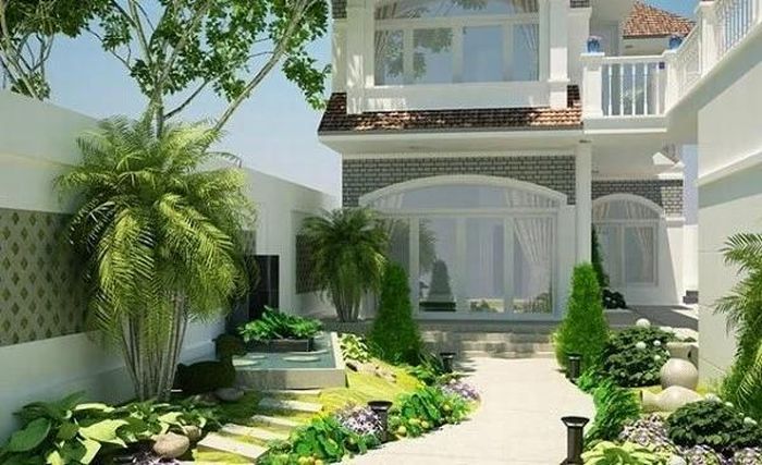 Cây cau trồng trước của nhà tốt cho phong thủy.