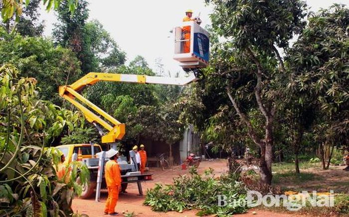 Cưa cây thi công đường dây điện trung thế tại ấp 3, xã Mã Đà