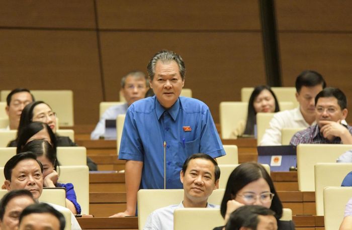 Đại biểu Trương Minh Hoàng, đoàn Cà Mau nêu quan điểm nên xem xét chức vụ của đại biểu chuyên trách ít nhất bằng chức danh Phó Giám đốc Sở.