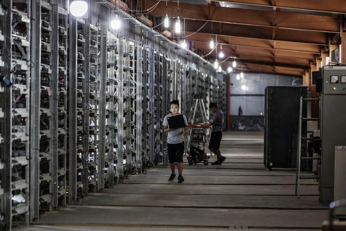  Một trang trại đào coin tại Nội Mông, Trung Quốc. Ảnh: Bloomberg. 