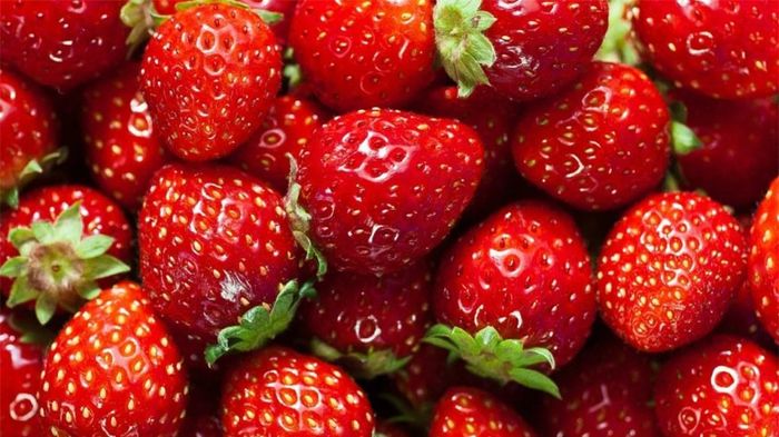 Dâu tây rất hữu ích trong việc làm trắng răng nếu được sử dụng đúng cách. Xay một ít dâu tây thành bột nhão rồi chà xát trên răng hai lần mỗi ngày. Bạn sẽ thấy kết quả đáng ngạc nhiên chỉ trong một vài tuần.