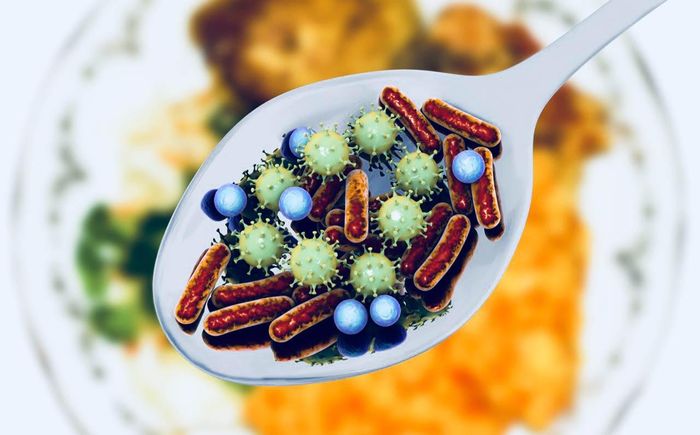  Hầu hết trường hợp ngộ độc thực phẩm do các loại vi khuẩn, virus, ký sinh trùng gây ra. Ảnh: Prime. 