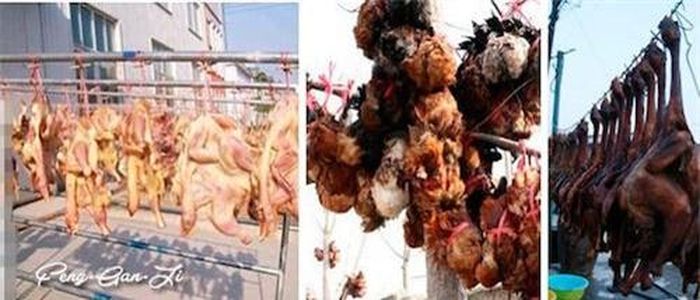 Những con gà treo ngược trong tình trạng vẫn còn thoi thóp. Ảnh: China Whisper.