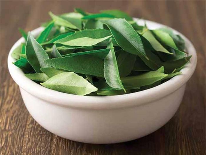 Lá ổi với lá cà ri cho tóc bạc: Cho 4-5 lá ổi và một ít lá cà ri vào nồi nước sôi. Đun sôi khoảng 10-15 phút và để nguội. Gội đầu với dung dịch này và để lại trong 5 phút trước khi rửa bằng nước lạnh.