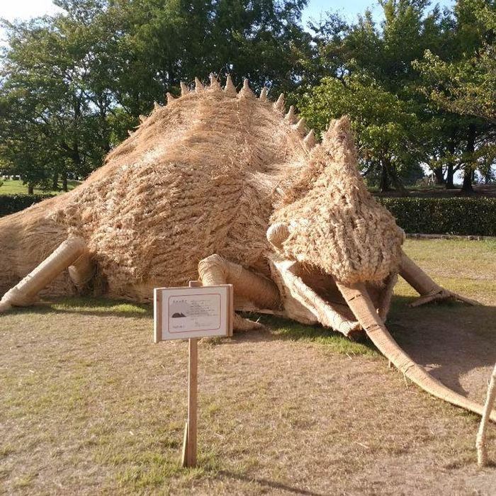 Tắc kè