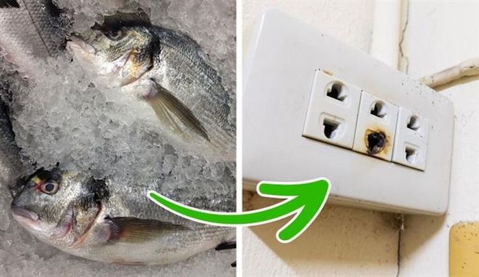 Sự cố điện là nguyên nhân tiềm ẩn nguy hiểm cho nhà bạn.
