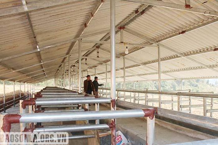 Khu trang trại mới được xây dựng trên diện tích 4 ha chuẩn bị dưa vào phục vụ chăn nuôi của gia đình anh Lò Văn Luất. 