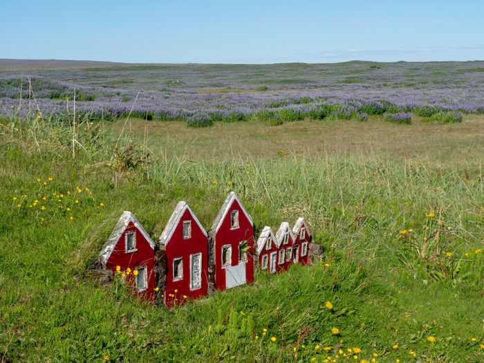  Theo Elfschool, 54% người Iceland tin rằng yêu tinh là có thật, thậm chí nhiều người còn tôn trọng những truyền thống và huyền thoại về nó. Bạn có thể tìm thấy những ngôi nhà yêu tinh nhỏ bé trên khắp Iceland. Ngoài ra, du khách ngoại quốc muốn biết thêm về yêu tinh, có thể đến trường học Elfschool để tìm hiểu. 
