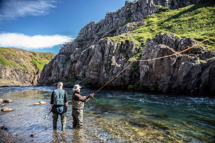  Đảo quốc có khoảng 1.300 loại côn trùng, nhưng không có muỗi. Nhiệt độ ở Iceland có thể xuống rất thấp hoặc tăng đột ngột, gây trở ngại cho vòng đời của muỗi. Các nhà khoa học cho rằng đây là lý do quốc gia này không có muỗi. Tuy nhiên, người Iceland phải đối phó với ruồi nhuế, loài côn trùng trông giống muỗi và cũng có thể cắn. 