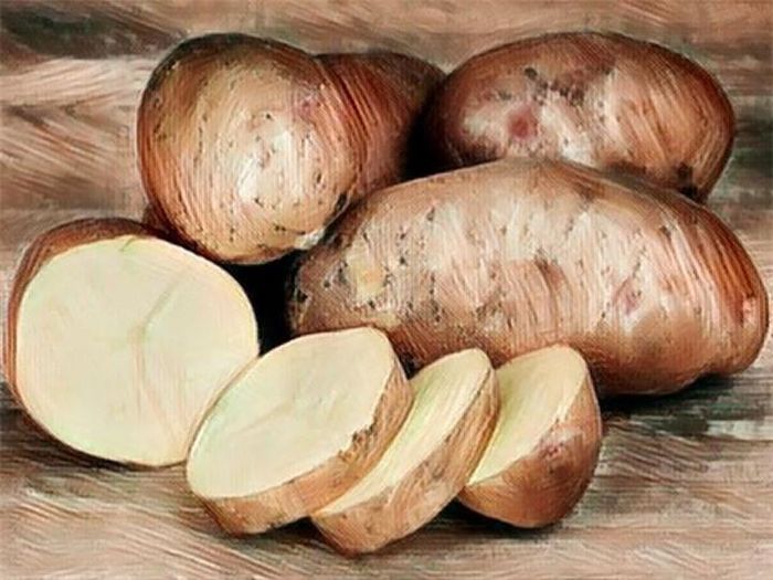 Khoai tây: Khoai tây có thể hấp thụ nước dư thừa từ cơ thể và thậm chí có thể làm giảm mồ hôi. Nó là một liệu pháp hiệu quả cho bàn tay nhiều mồ hôi. Chà lát khoai tây vào lòng bàn tay bị mồ hôi trong vài phút, để khô và rửa sạch. Khoai tây hấp thụ mồ hôi quá nhiều và nó cũng giúp ngăn ngừa mồ hôi.
