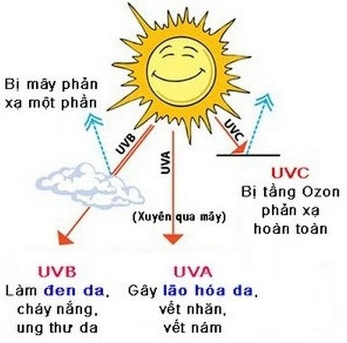 Tia UVA, UVB gây hại da.