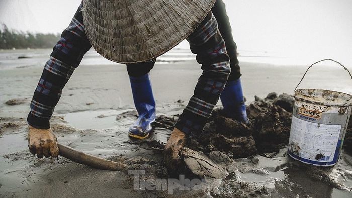 Ngư dân phải dùng những chiếc xẻng nhỏ lật lớp cát và đất biển lên để bới don. Don có hình thù giống con chai nhưng nhỏ hơn nên phải nhìn kĩ mới thấy. Cao điểm của mùa don bắt đầu từ tháng 5 đến tháng 6 dương lịch