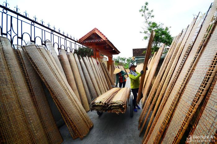 Mỗi hộ sản xuất bánh đa nem thu hút 15-20 lao động có ngày công 170.000-250.000 đồng/người. Trẻ em và người già vẫn đóng góp sức lao động cho nghề làm bánh đa. Ảnh: Trần Cảnh Yên.