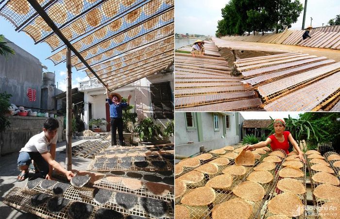 Bánh đa nem sản xuất đại trà trải qua công đoạn phơi nắng chỉ trong khoảng vài giờ đồng hồ là thu gom. Còn đối với bánh đa vừng thì phải phơi cả ngày đủ khô để nướng trước khi tiêu thụ. Ảnh: Trần Cảnh Yên.