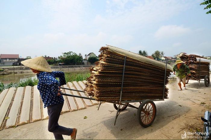Nghề làm bánh đa Trung Yên đã góp phần xóa đói giảm nghèo và làm giàu chính đáng. Ông Nguyễn Đình Hòa cho biết: Cứ một tạ gạo nguyên liệu làm bánh đa nem trừ chi phí rồi còn thu lãi 900 nghìn - 1 triệu đồng.