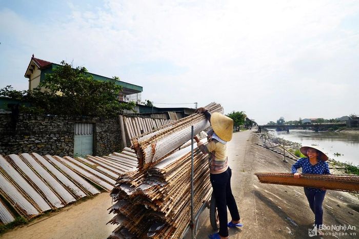 Công đoạn tráng bánh và thu gom bánh đa nem vất vả và rất khẩn trương. Nếu trời nắng to bánh phơi bắt đầu đến độ rút lách tách trên trành phơi là phải nhanh chóng thu gom ngay khỏi bánh giòn rách; gặp lúc trời động mưa thì người phơi bánh "vắt chân lên cổ" mà thu bánh khỏi ướt. Ảnh: Trần Cảnh Yên.