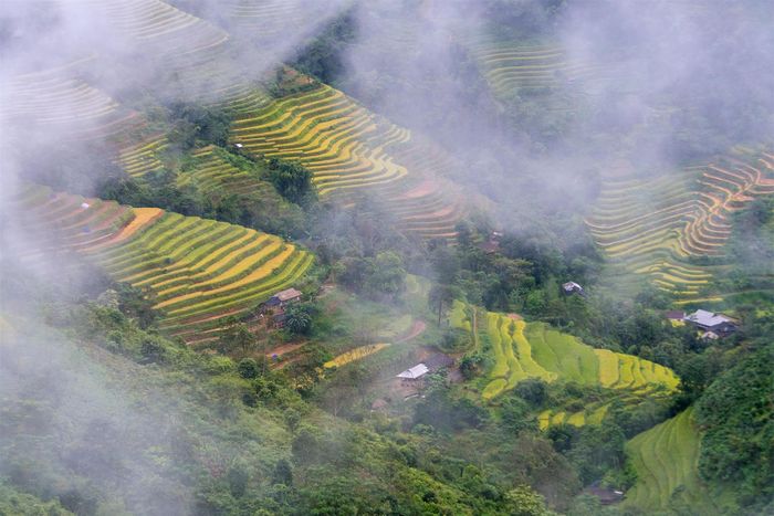 ...Một là vào tháng 5 - mùa nước đổ, hai là từ tháng 9 đến cuối tháng 10 dương lịch - thời điểm mùa lúa chín ở Hoàng Su Phì.