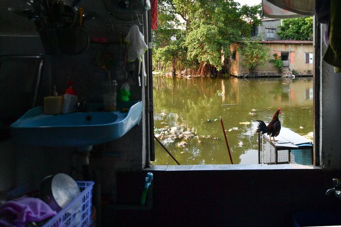  Khung cảnh từ phía trong nhà dân nhìn ra rạch Xuyên Tâm. Hai bên rạch có hàng nghìn hộ dân đang sinh sống. 