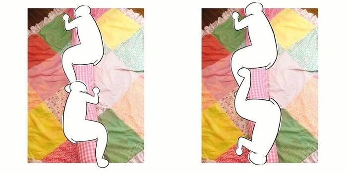 Những hình ảnh về chiếc gối ôm dài 2m "độc nhất vô nhị" trên vẫn đang nhận được nhiều sự quan tâm của cư dân mạng.