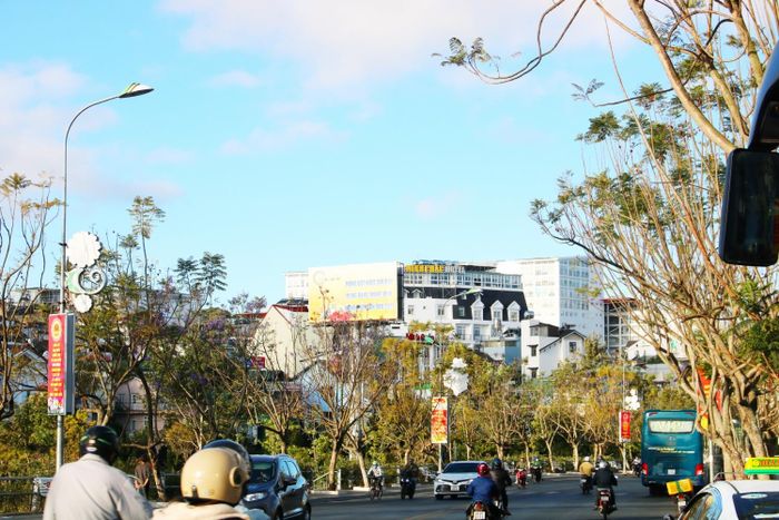 Con đường Nguyễn Văn Cừ ở Đà Lạt