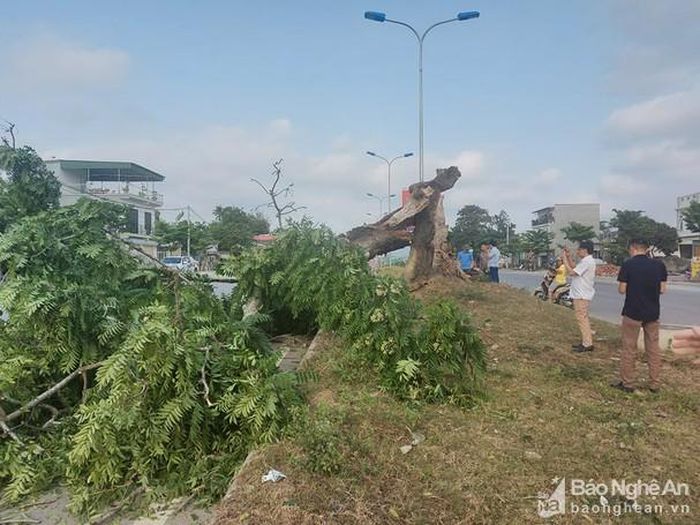 Hiện nay, các cơ quan chức năng thị xã Thái Hòa đang nỗ lực khắc phục hậu quả. Ảnh: PV