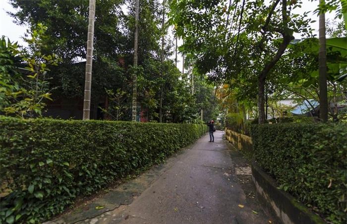 Kiệt Phú Mộng sâu hun hút với những mảng xanh của hàng chè tàu khiến bao nhiếp ảnh gia say mê.