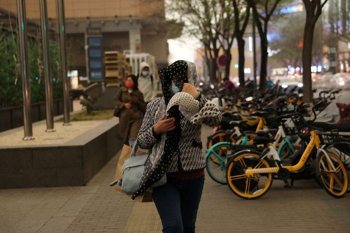 Bắc Kinh đã trồng hàng triệu cây xanh dọc thủ đô để ngăn chặn bão cát. Ảnh: Reuters. 