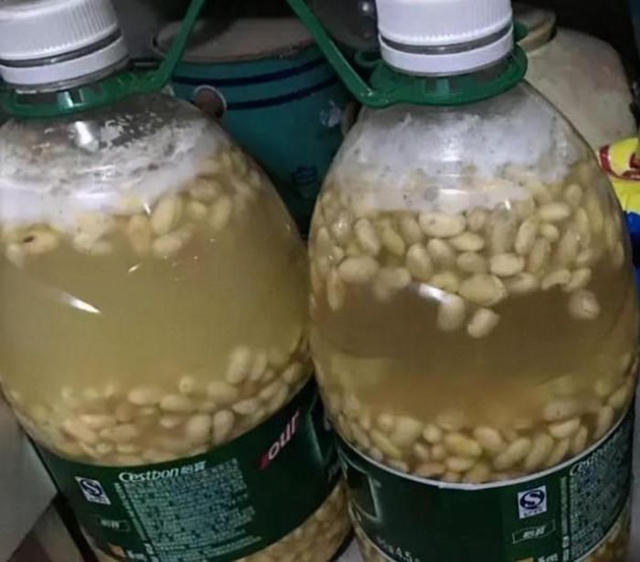 Dưới ánh mặt trời khoảng 2 tháng, nước đậu sẽ chuyển sang màu đen thích hợp để tưới hoa. Ưu điểm của loại phân này là chúng có lượng đạm cao. Các thành phần dinh dưỡng khác cũng khá dồi dào. Nó rất tốt để dùng cho cây đang quá trình phát triển, cây lá cảnh để thúc nhanh ra cành, nhánh.