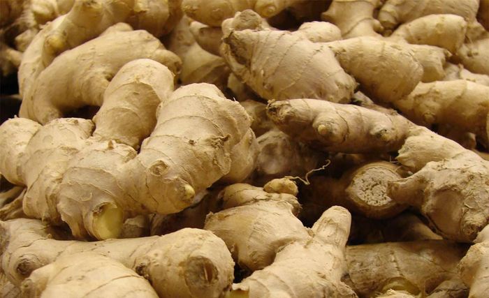 Ăn gừng buổi tối hại sức khỏe: Vào buổi sáng, khí trong dạ dày nhiều, ăn một chút gừng vào sẽ kiện tì ôn vị, khích lệ cho dương khí bốc lên. Đến nửa đêm, dương khí trong người thu lại, âm khí thịnh phát, lúc này ăn gừng sẽ vi phạm qui luật sinh lí.