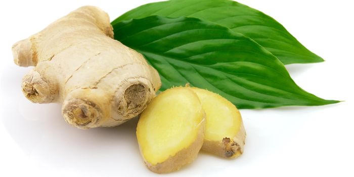 Ảnh hưởng tới quá trình gây mê: Gừng có khả năng phản ứng với các tác nhân gây mê dùng trong phẫu thuật. Điều này dẫn đến những phản ứng có hại như gây chảy máu hoặc khiến vết thương lâu lành.
