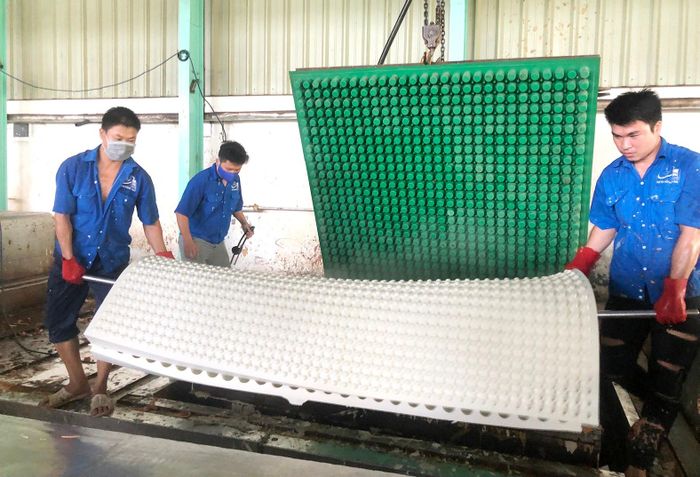 Công ty Cao su Đồng Phú chế biến, sản xuất nệm, gối. Ảnh: THANH HẢI