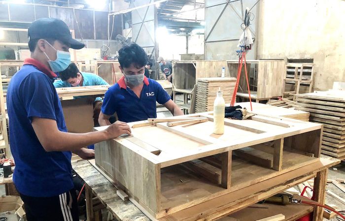 Công ty Chế biến gỗ Thuận An sử dụng gỗ cây cao su làm nguyên liệu sản xuất sản phẩm nội thất xuất khẩu. Ảnh: THANH HẢI