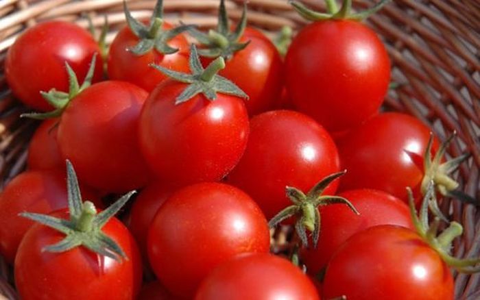 Làm được điều trên là nhờ lượng vitamin C, selen, caroten, sắt, chất xơ và các yếu tố vi lượng dồi dào trong chúng.